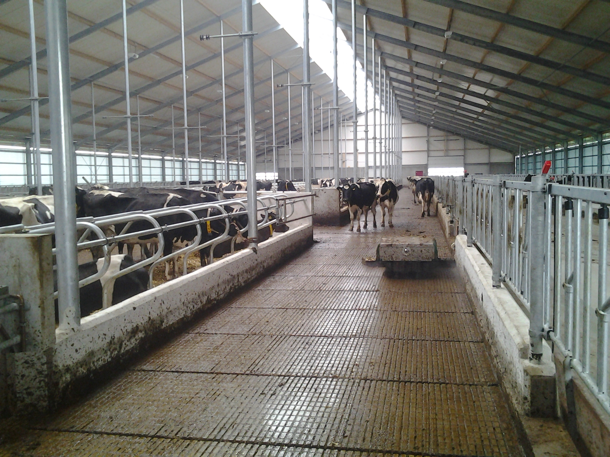 Cobefa La Force Du B 233 Ton Caillebotis Caillebotis Bovin Caillebotis Beton Bovin Cobefa La Force Du B 233 Ton Caillebotis Caillebotis Bovin Caillebotis Beton Bovin