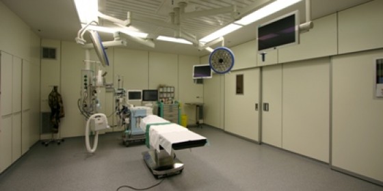 large image 1