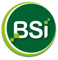 BSI